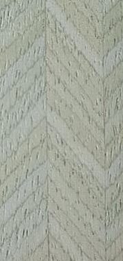 LGN - Y32