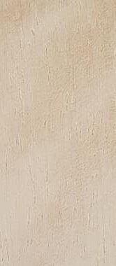 tabu-pr25